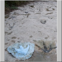 100_1595 (2009-28-07)m.JPG